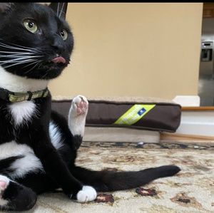 Meet your Posher, Sheri